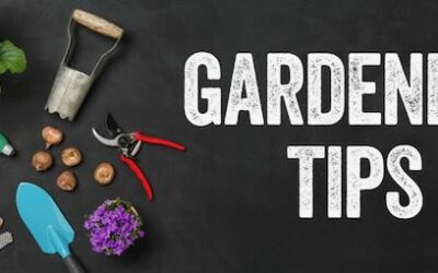 Gardening Tips